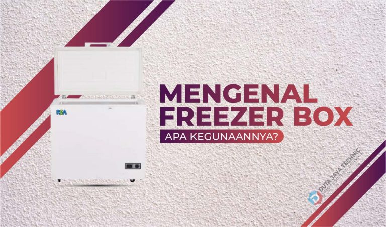 Mengenal Freezer Box